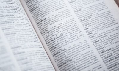 word reference french