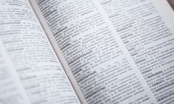 word reference french