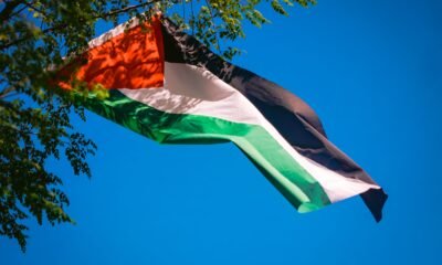 palestine flag
